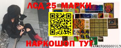 гашик Малоярославец