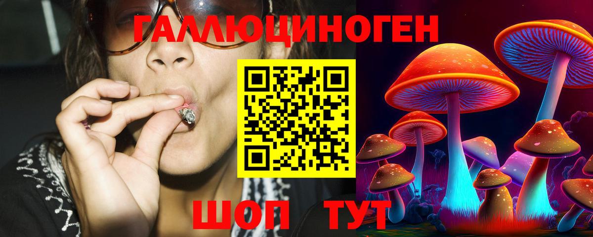 Городец  Галлюциногенные грибы ЛСД  Вход с VPN 